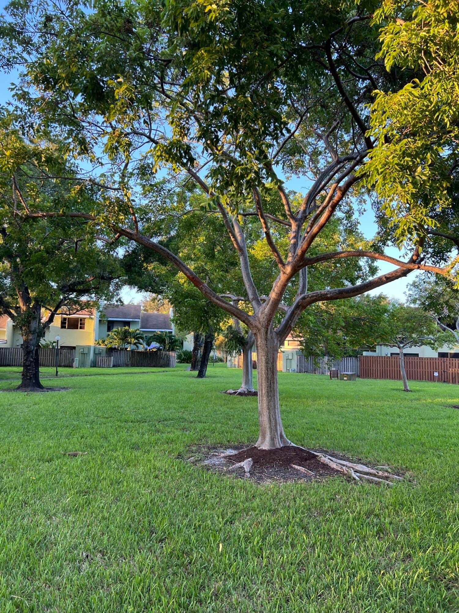 2800 S Oakland Forest Drive 2302, Oakland Park, FL 33309 photo 27