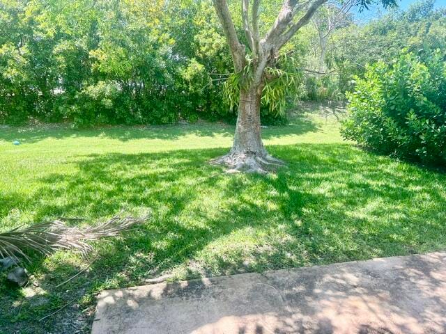 7463 NW 70th Avenue, Parkland, FL 33067 photo 20