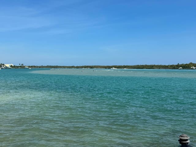 200 Intracoastal Place 404, Jupiter, FL 33469