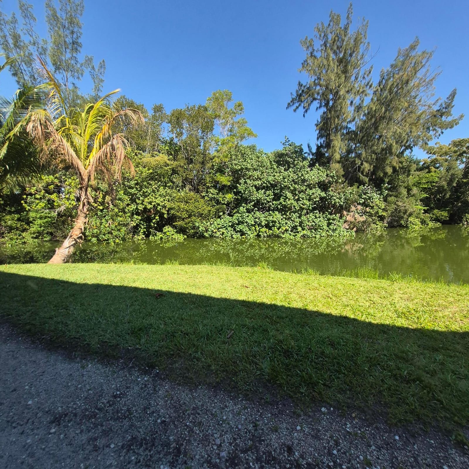 101 Northampton F, West Palm Beach, FL 33417 photo 23