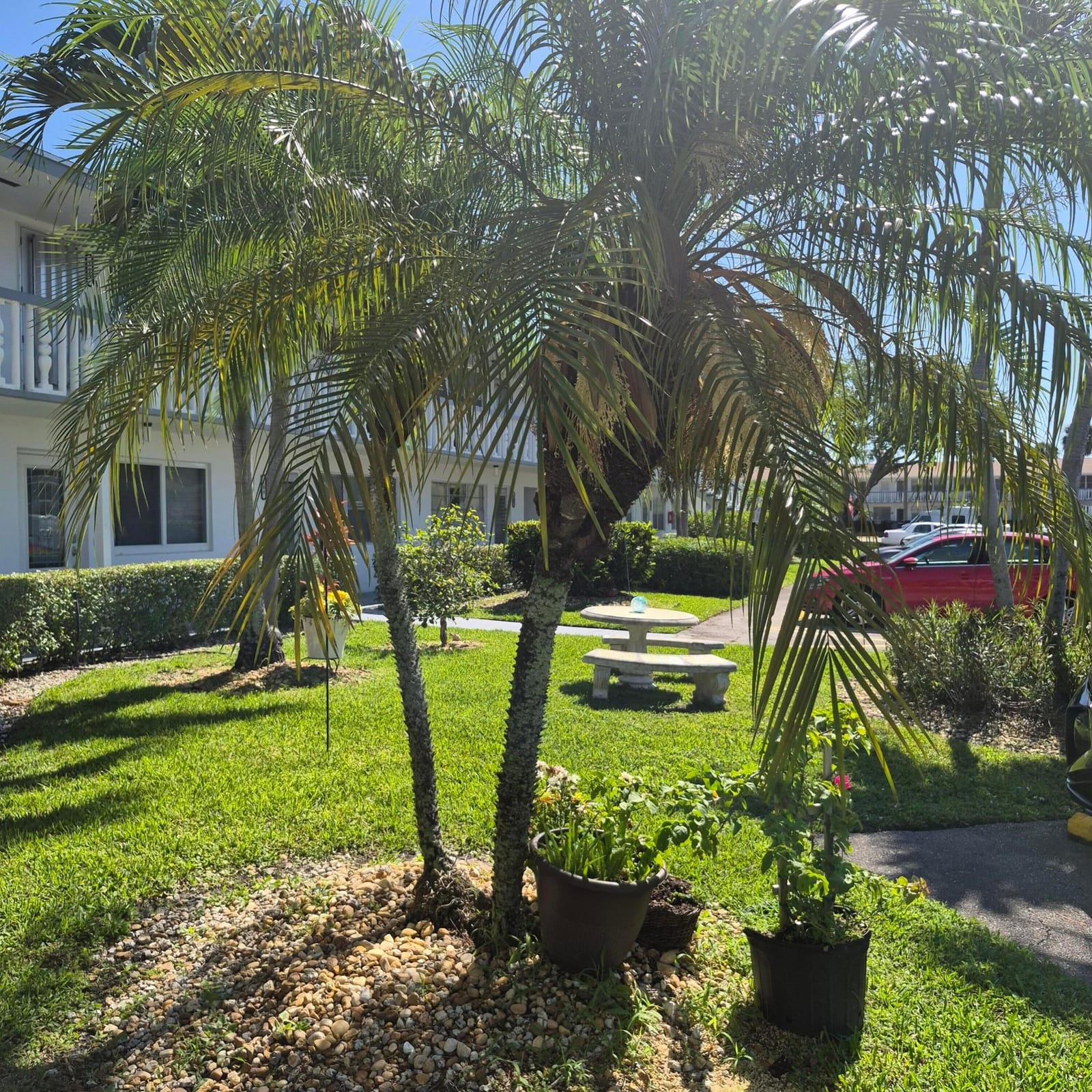 101 Northampton F, West Palm Beach, FL 33417 photo 27