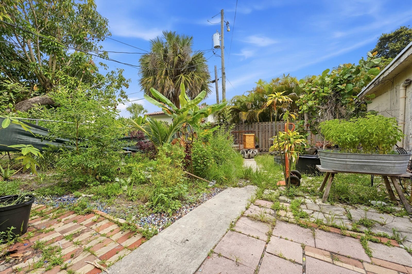 515 Biscayne Drive — photo 9