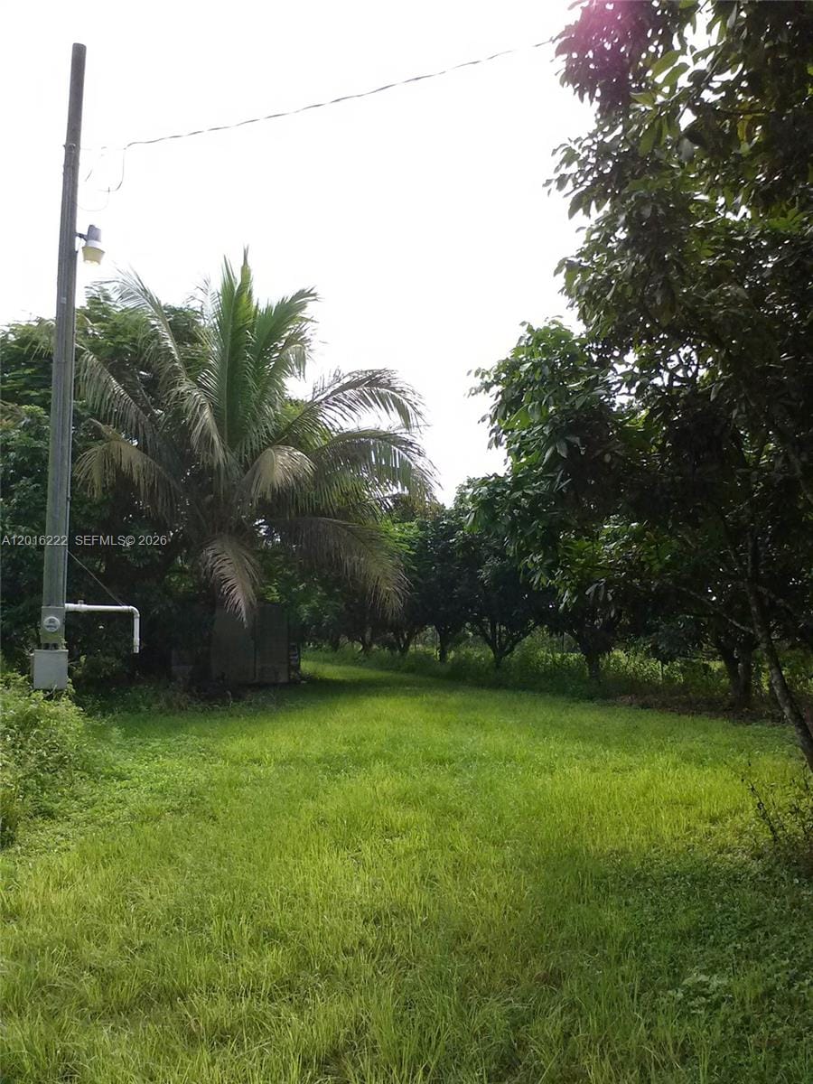 19675 SW 165 Avenue, Miami, FL 33187 photo 22