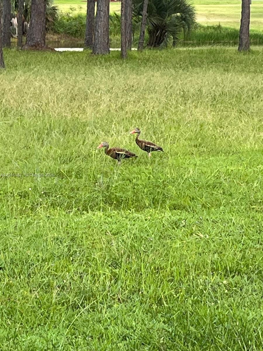 0 Valencia, Lake Wales, FL 33855 photo 6