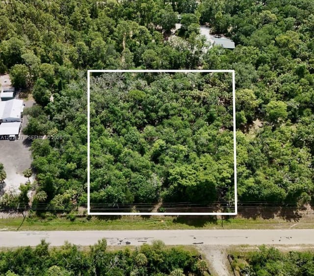 0 SW Gator Trail, Royal Park Estates, Arcadia, FL