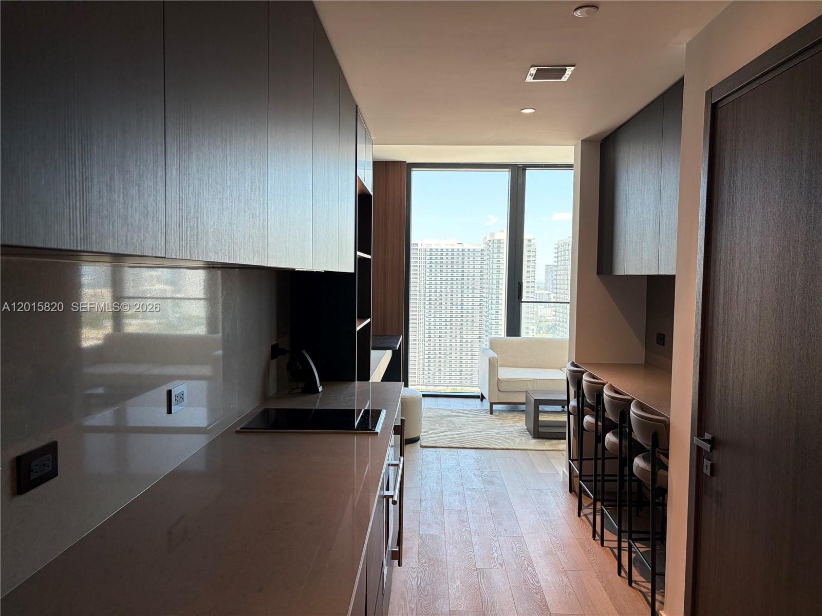 20 NE 11th Street 2805, Miami, FL 33132 photo 13
