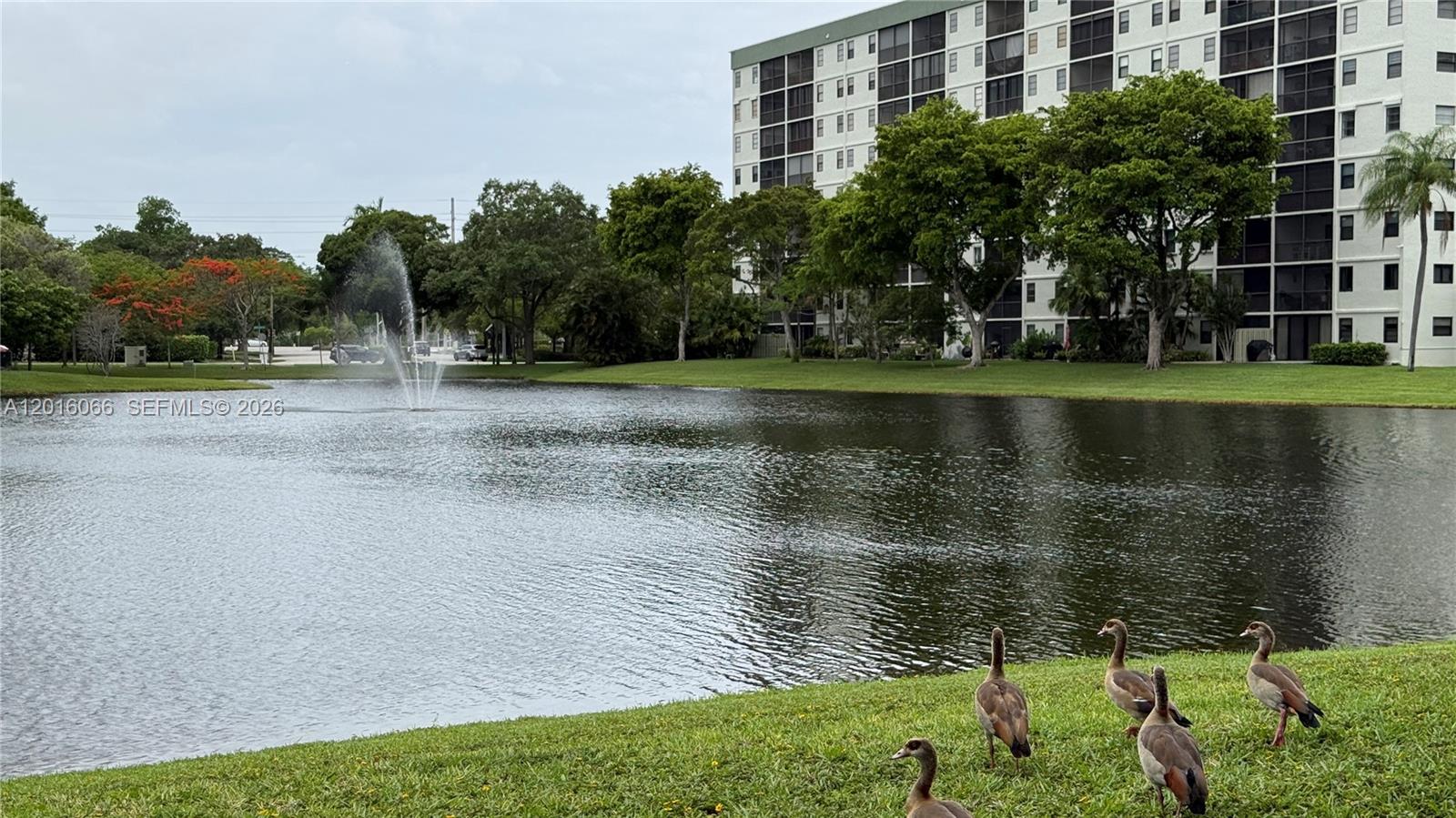 2236 N Cypress Bend Drive 207, Pompano Beach, FL 33069, Pompano Beach