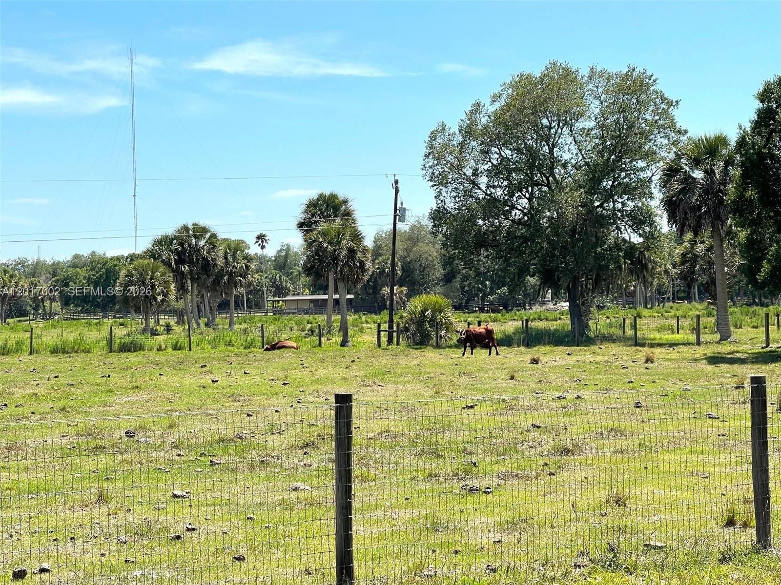 7105 NE 2nd, Okeechobee, FL 34974 photo 9