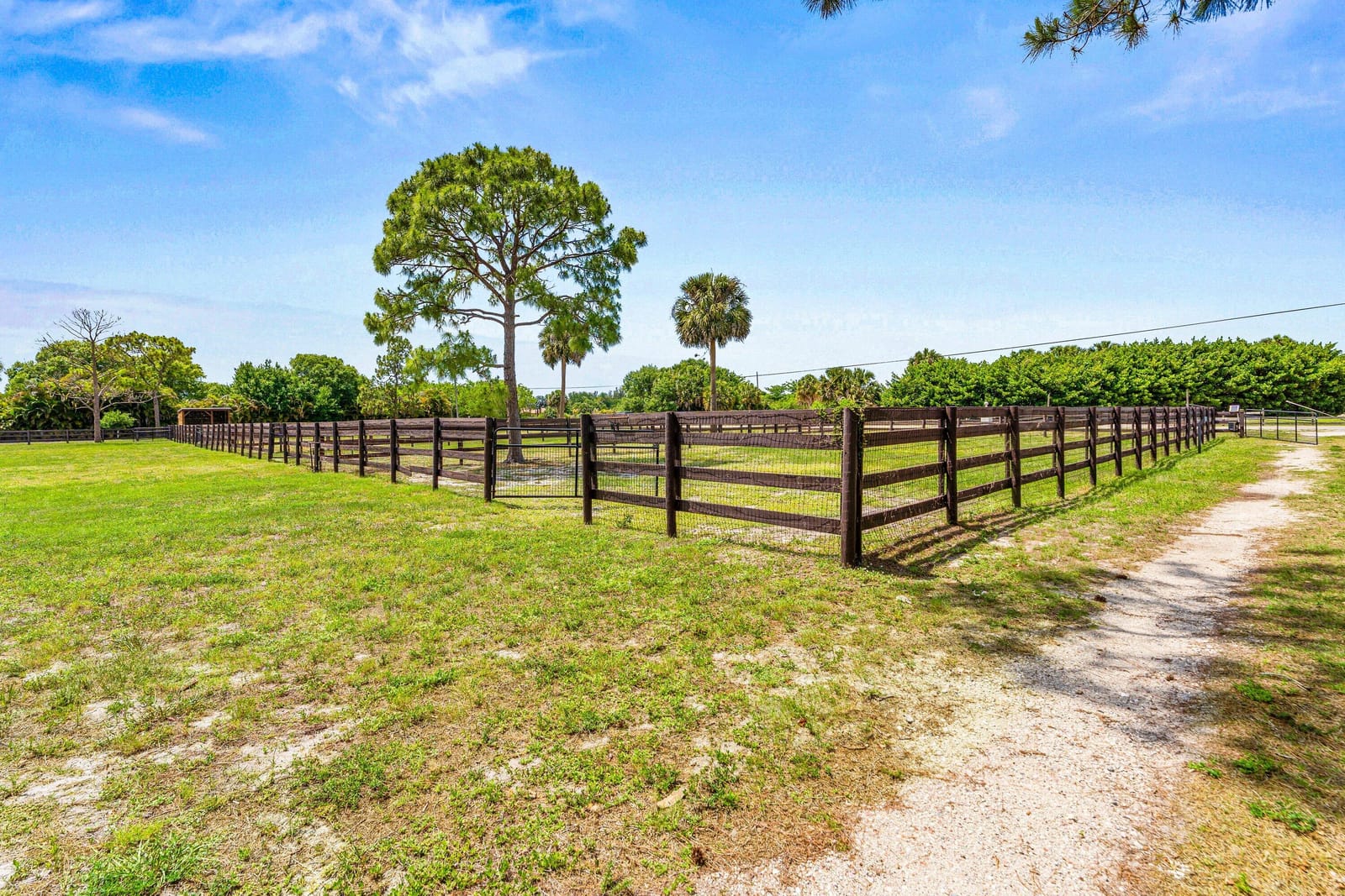 19482 Green Grove Court, FL 33470 photo 23