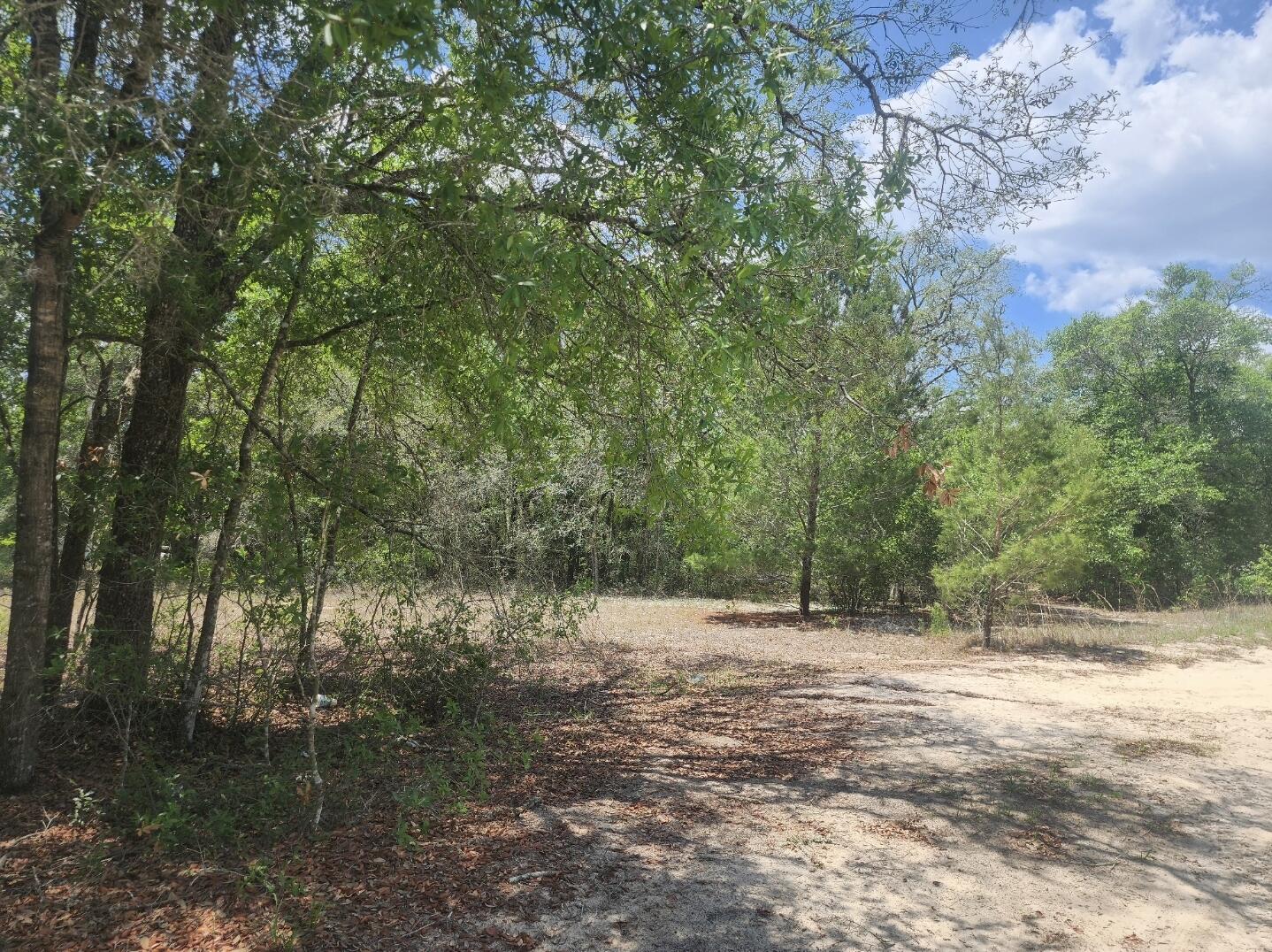 3207 Lich Street, Port Charlotte, FL 33980, Port Charlotte