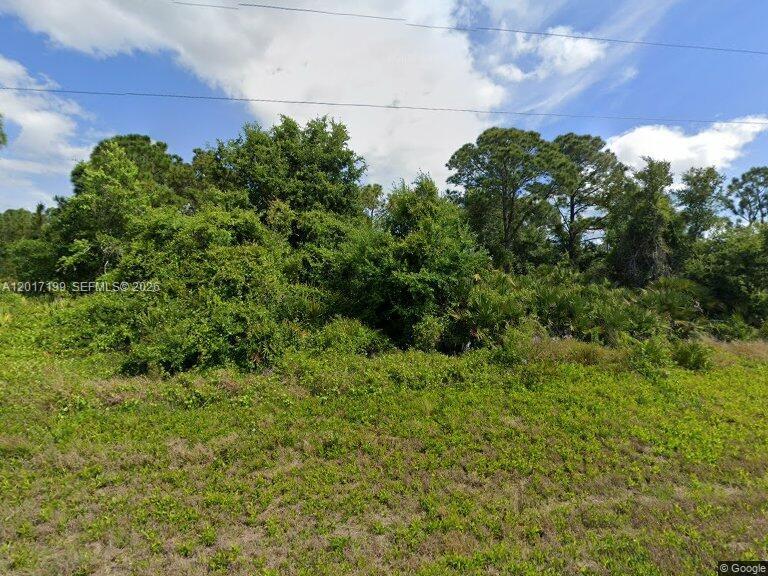 1518 Mangrove Street, Lake Placid, FL 33852, Lake Placid