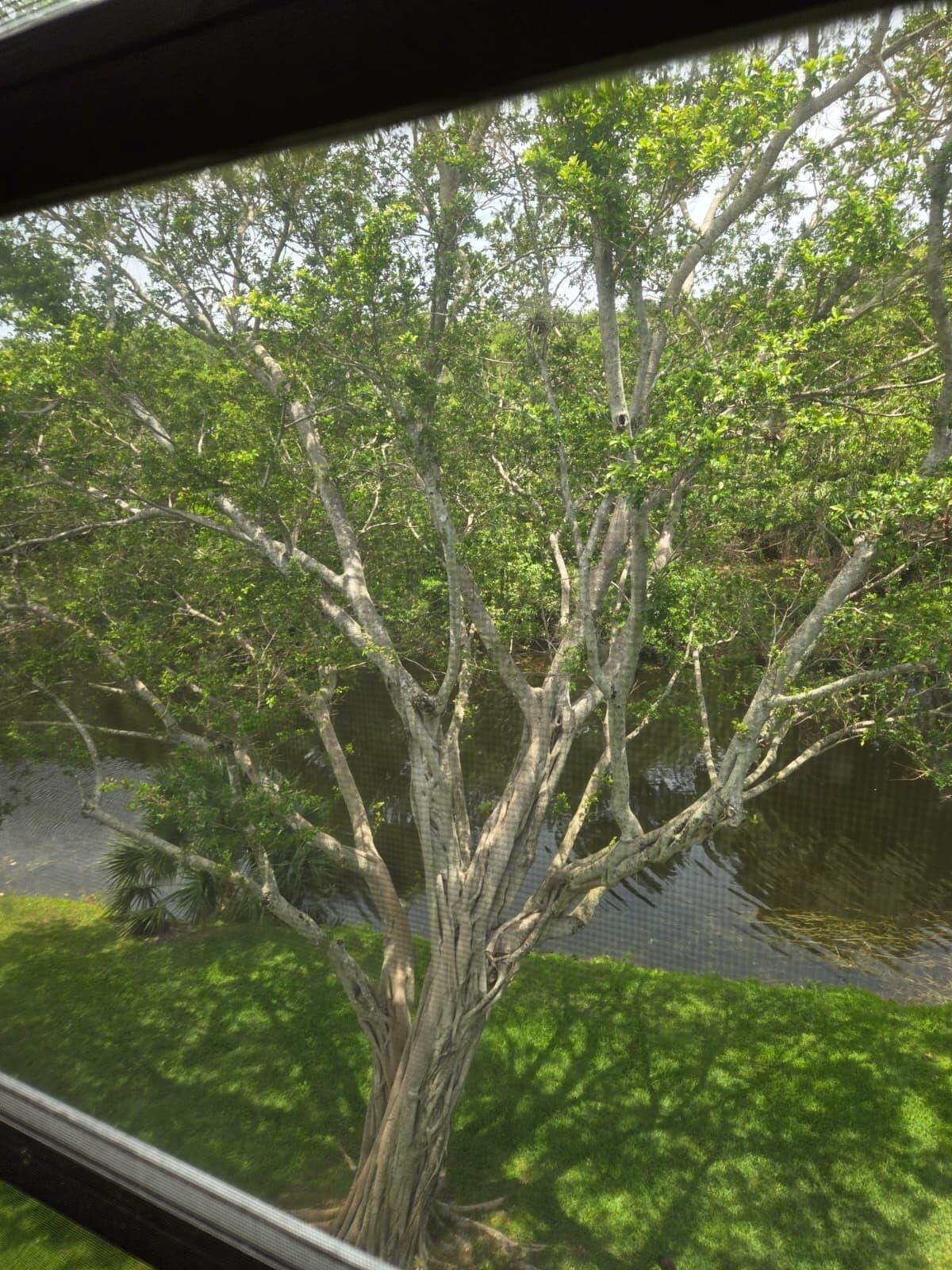 4023 Newport H, Deerfield Beach, FL 33442 photo 13