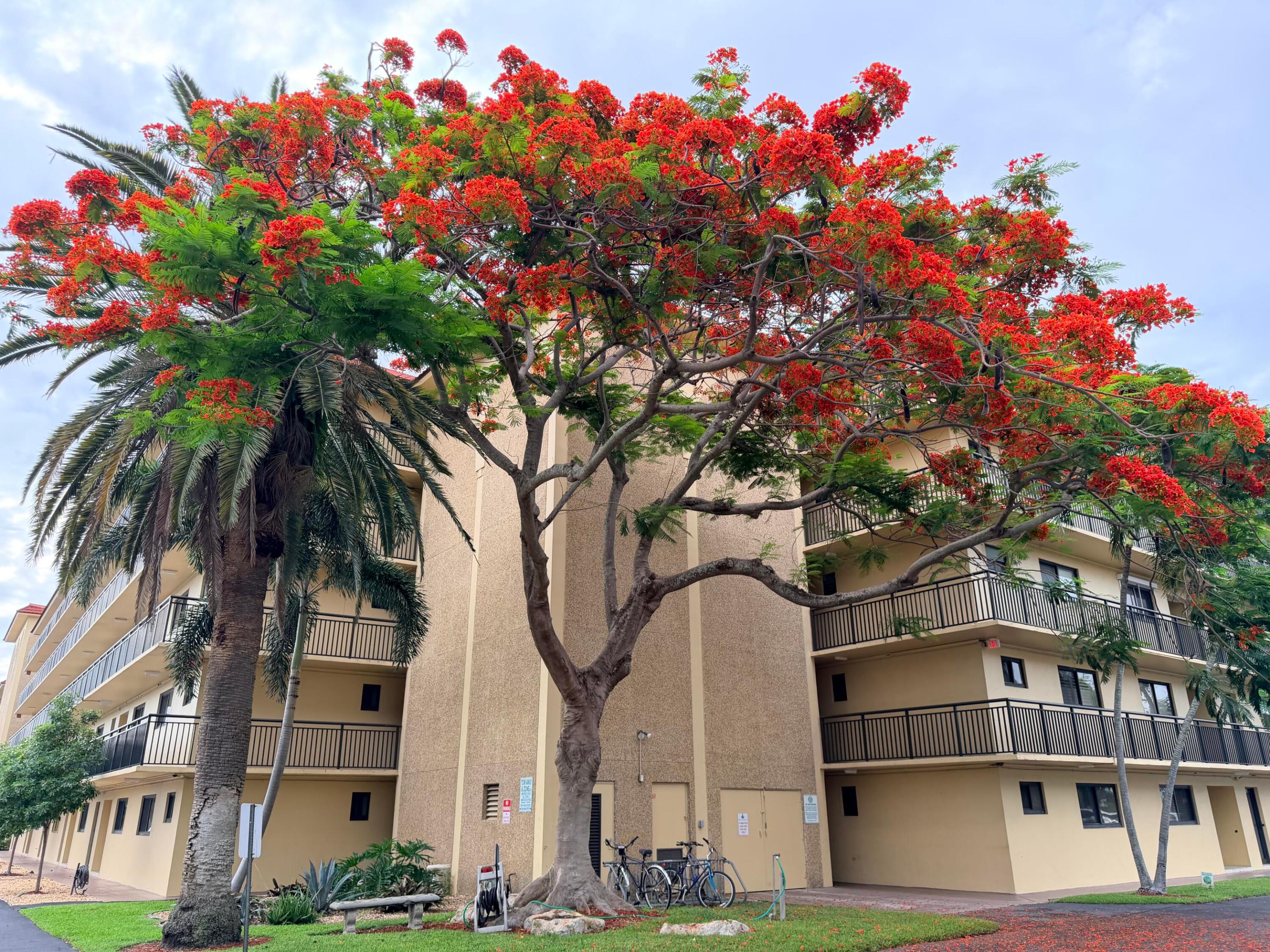 2601 NE 14th Street #535, Pompano Beach, FL 33062, Pompano Beach