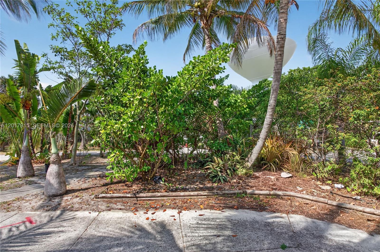 5041 NE 14th Avenue, Pompano Beach, FL 33064 photo 18