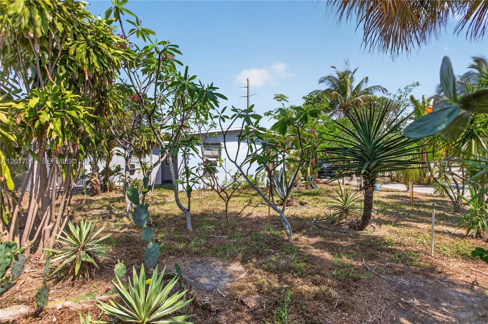 5041 NE 14th Avenue, Pompano Beach, FL 33064 photo 24