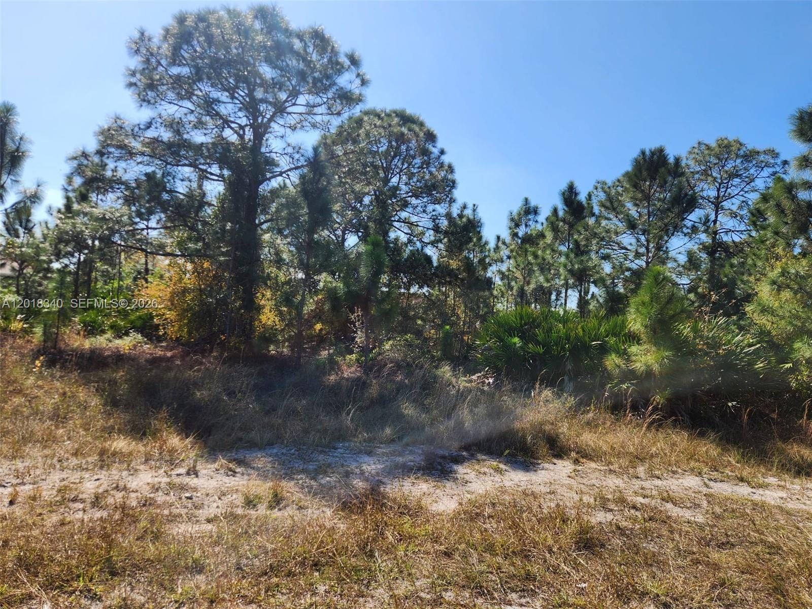 706 Johns Avenue, Lehigh Acres, FL 33972