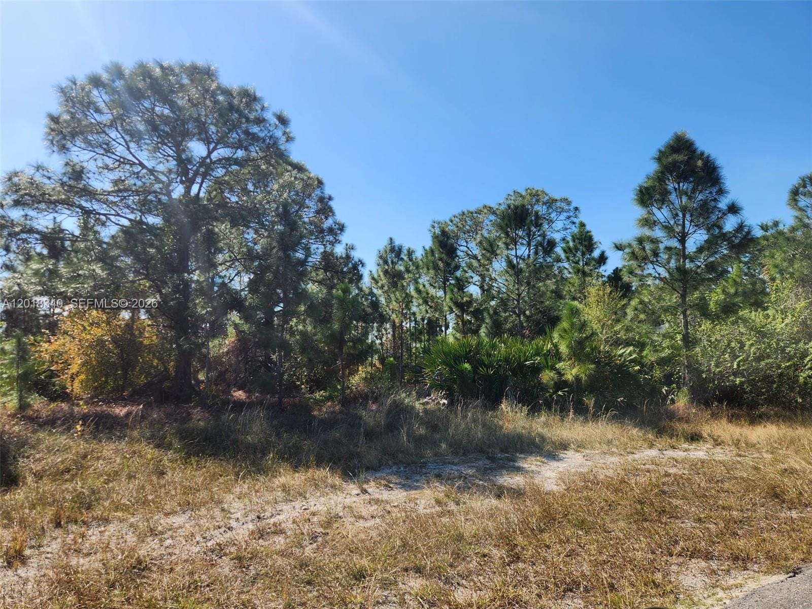 706 Johns Avenue, Lehigh Acres, FL 33972 photo 3