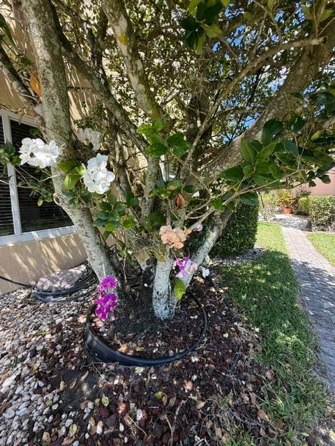 8306 Horseshoe Bay Road, Boynton Beach, FL 33472 photo 24