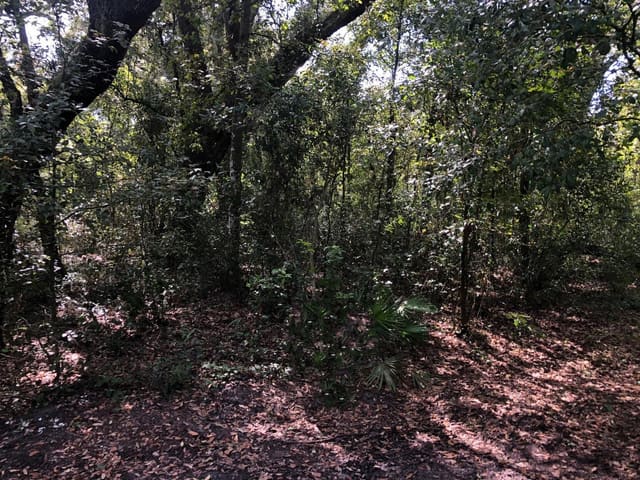 0 Co Rd 54, Kathleen, FL 33849