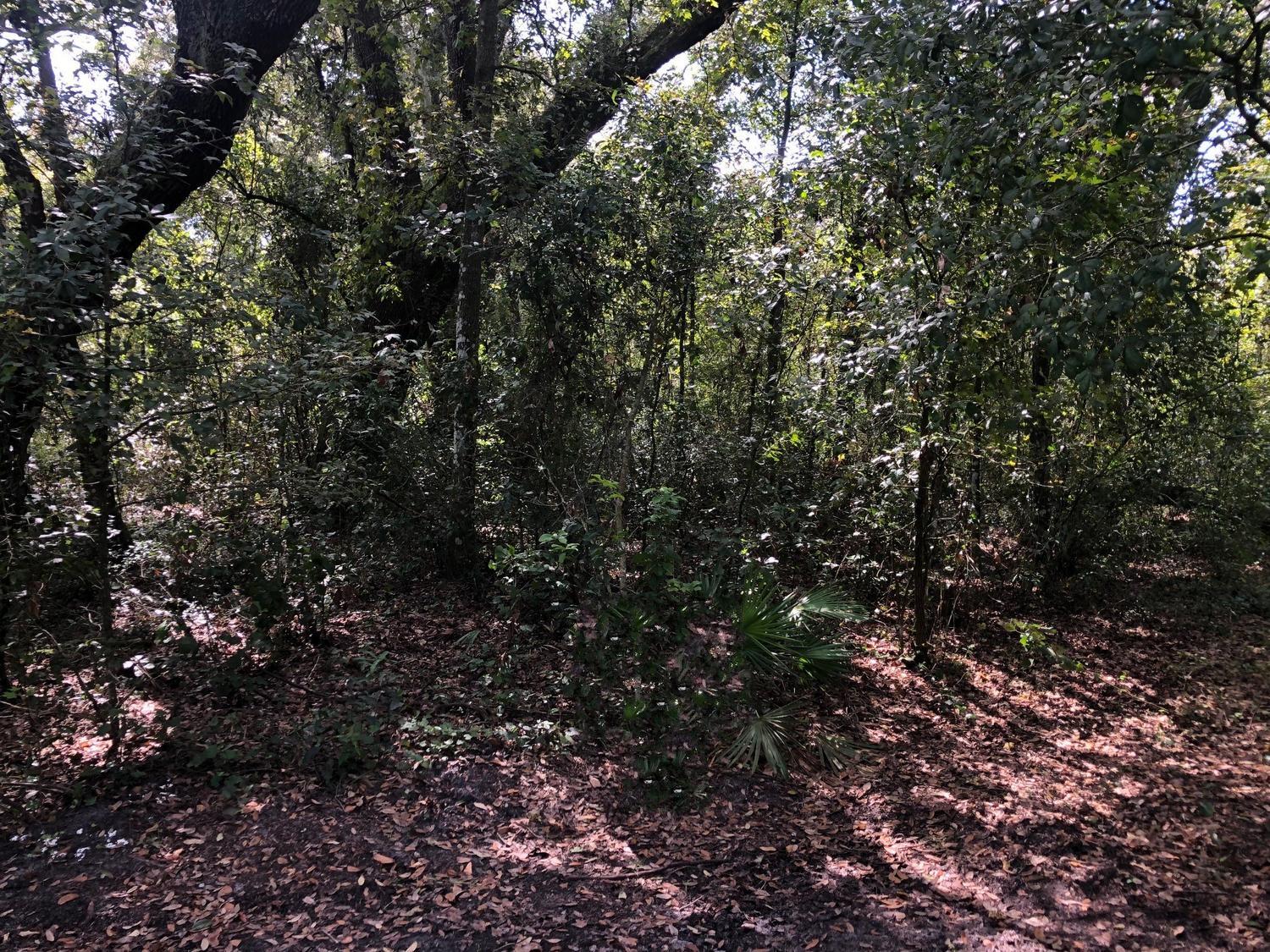 0 Co Rd 54, Kathleen, FL 33849, Kathleen