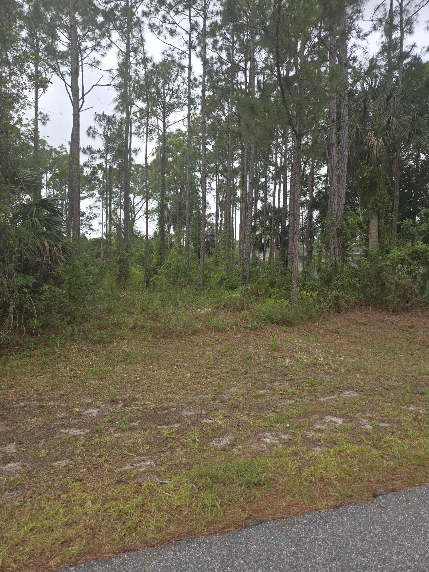 1836 Pindo Court NW, Palm Bay, FL 32909, Palm Bay