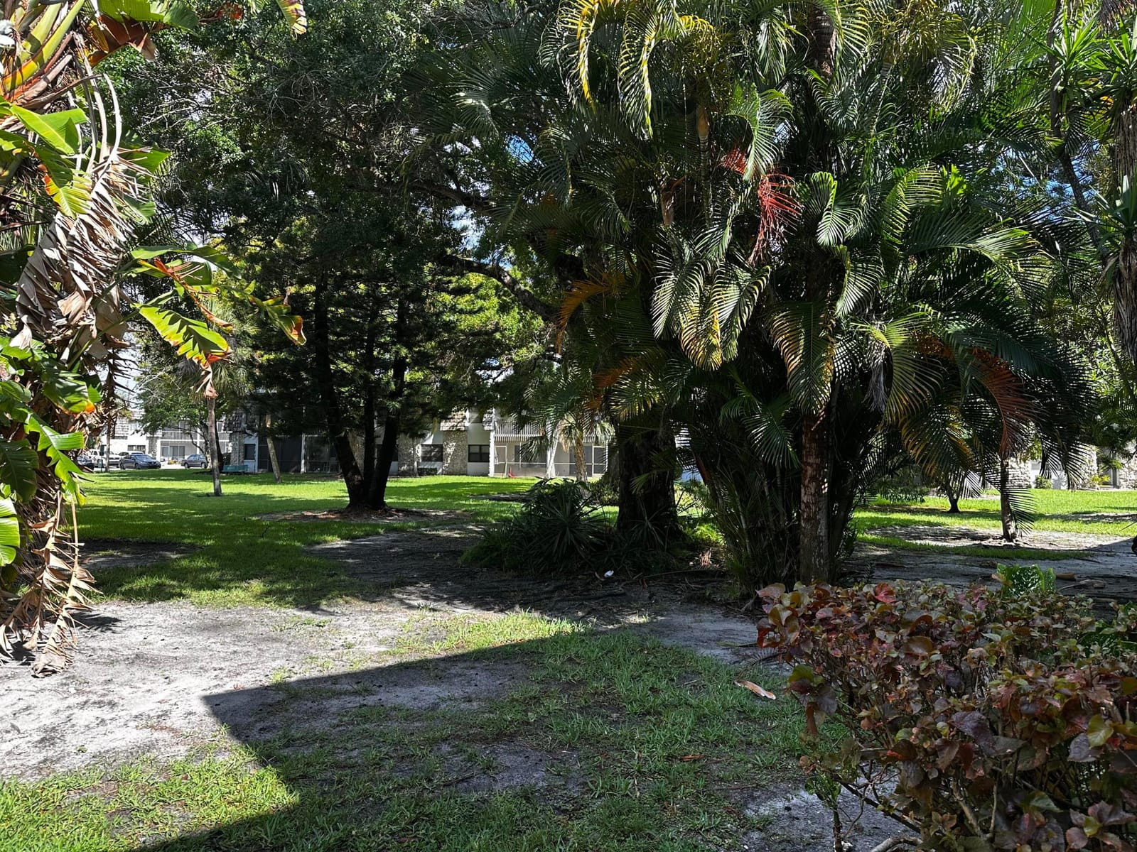 3105 Oakland Shores Drive J207, Oakland Park, FL 33309 photo 27