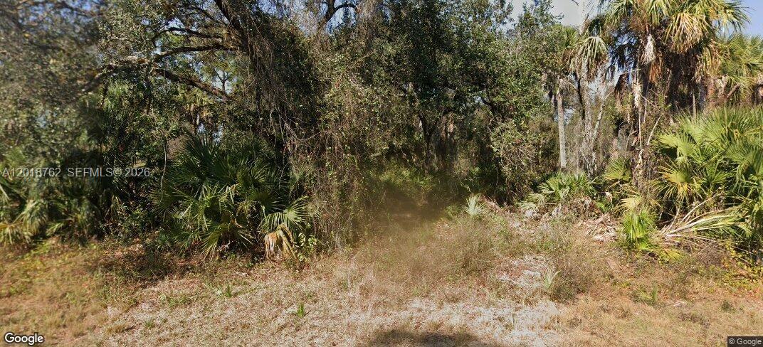 232 Sparkle Drive, LaBelle, FL 33935, Labelle