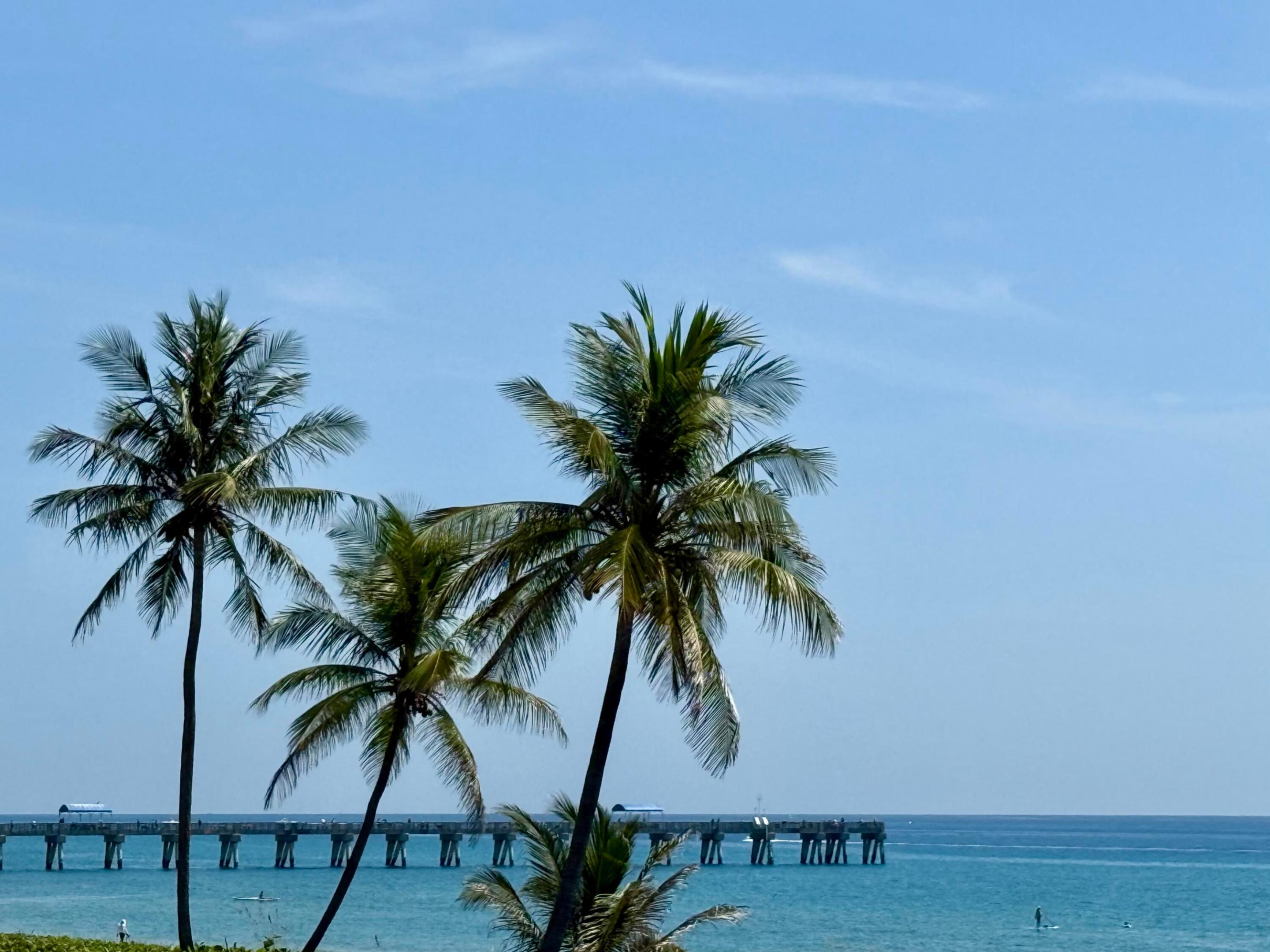 3120 S Ocean Boulevard 1-101, Palm Beach, FL 33480