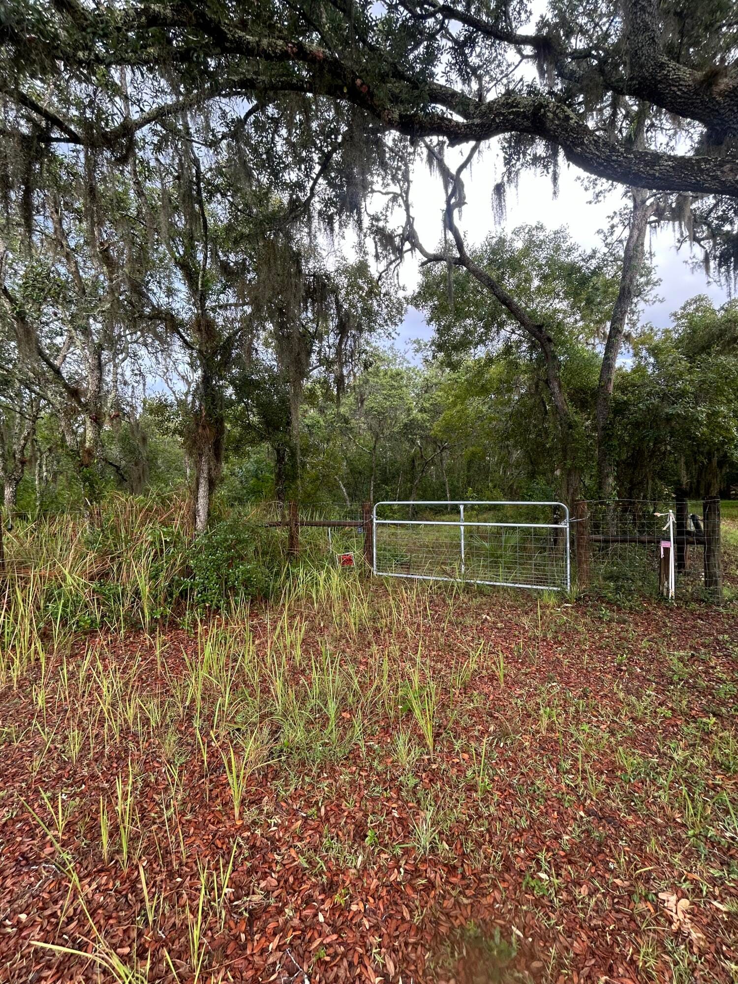 0 Scrub Jay Trail — photo 2