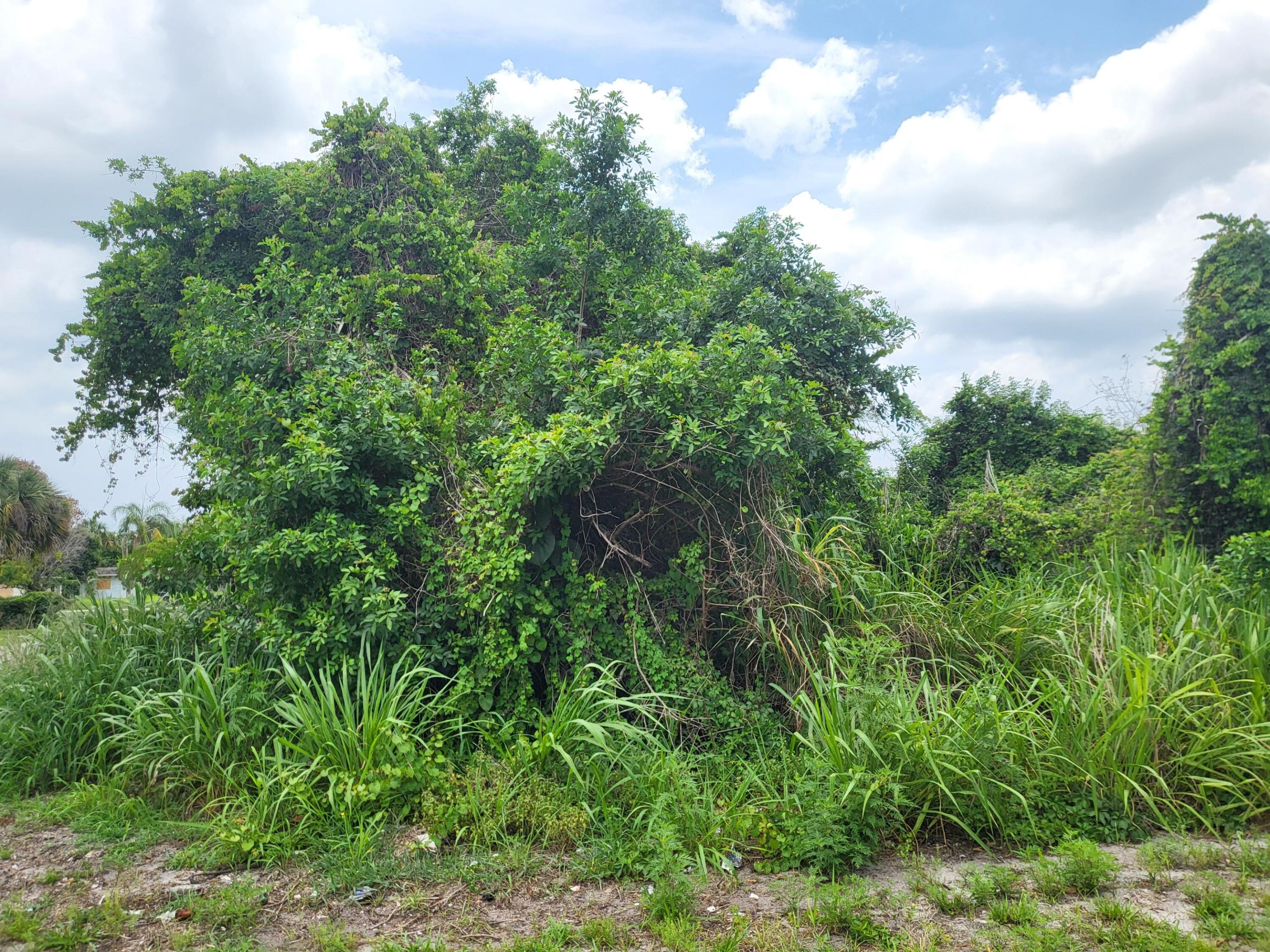 0 Avenue R, Fort Pierce, FL 34947, Fort Pierce