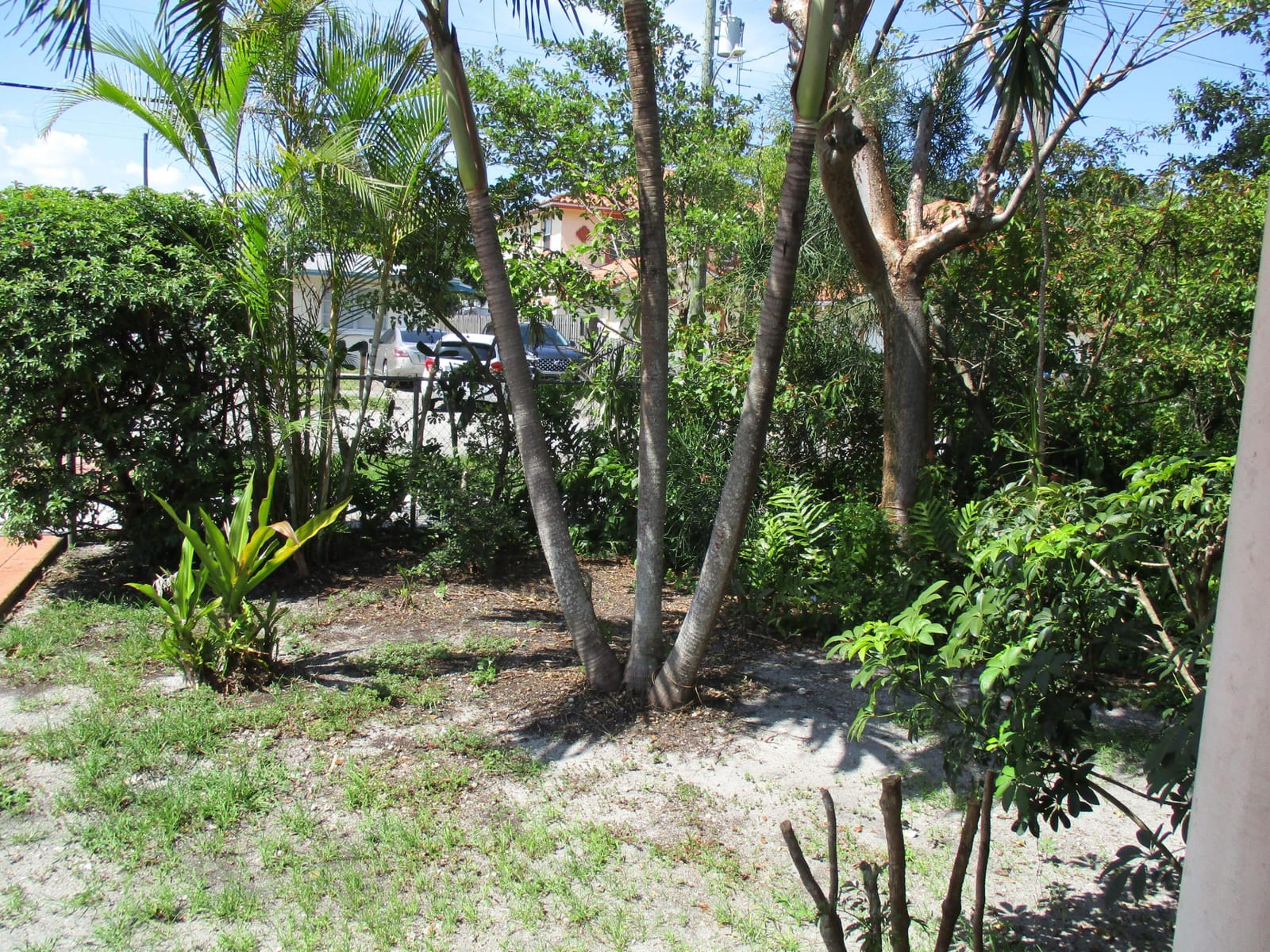 5816 Lincoln Street, Hollywood, FL 33021 photo 12