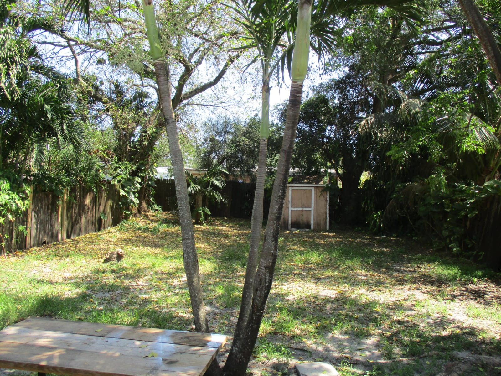 5816 Lincoln Street, Hollywood, FL 33021 photo 13