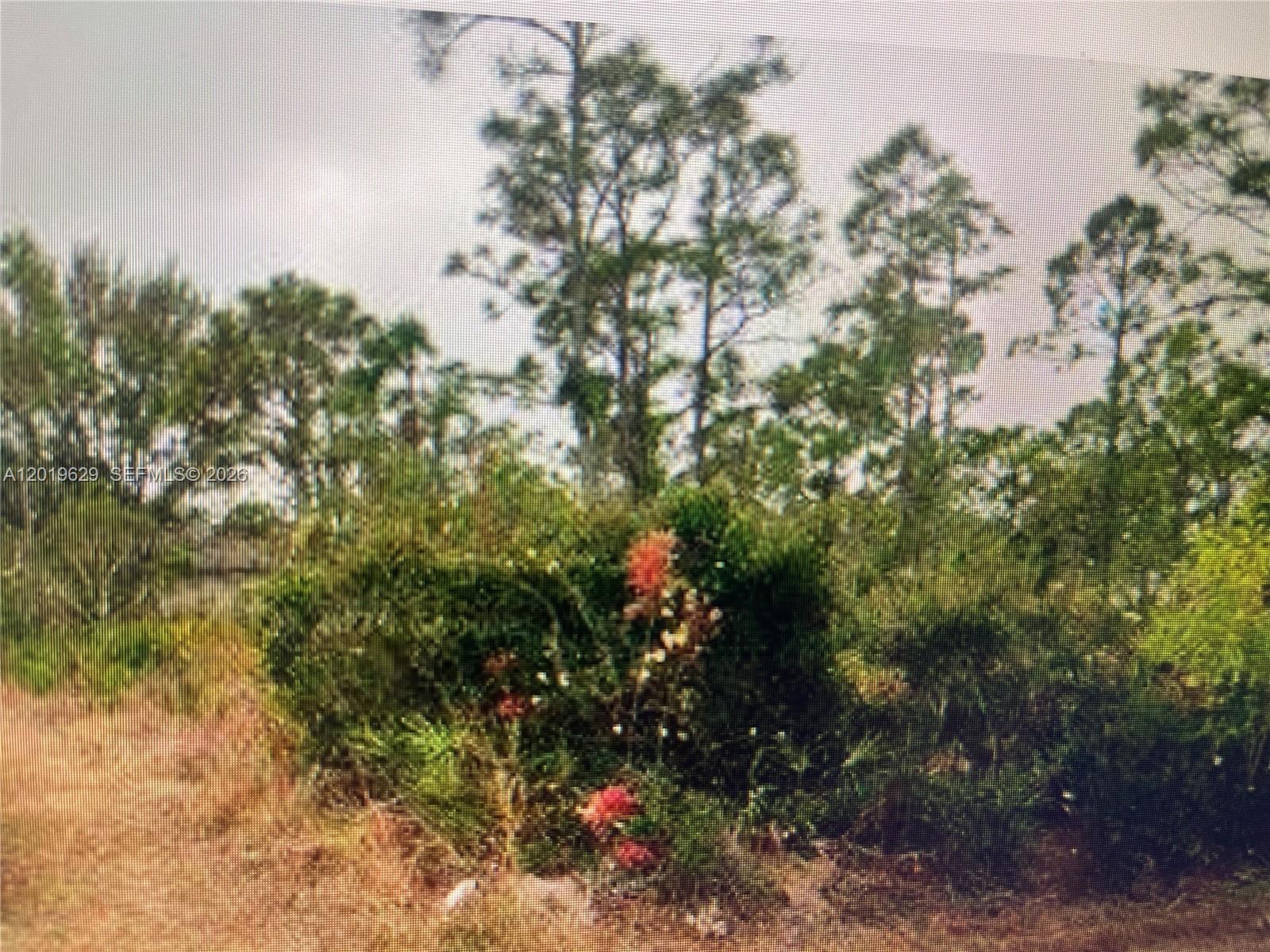 27183 N Twin Lakes Drive, Punta Gorda, FL 33955, Punta Gorda