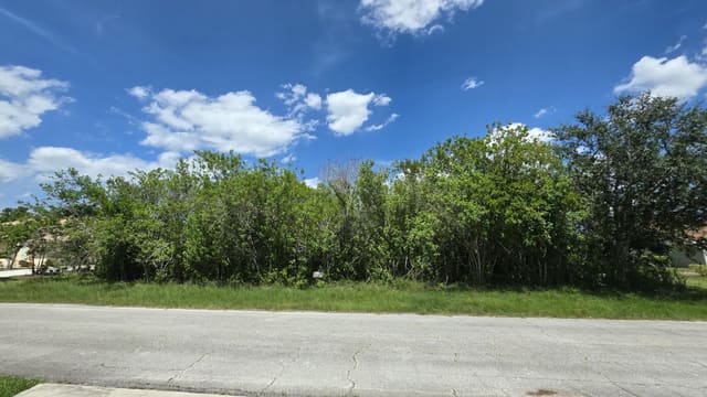 3909 SW Leesburg Street, Port St. Lucie, FL 34953
