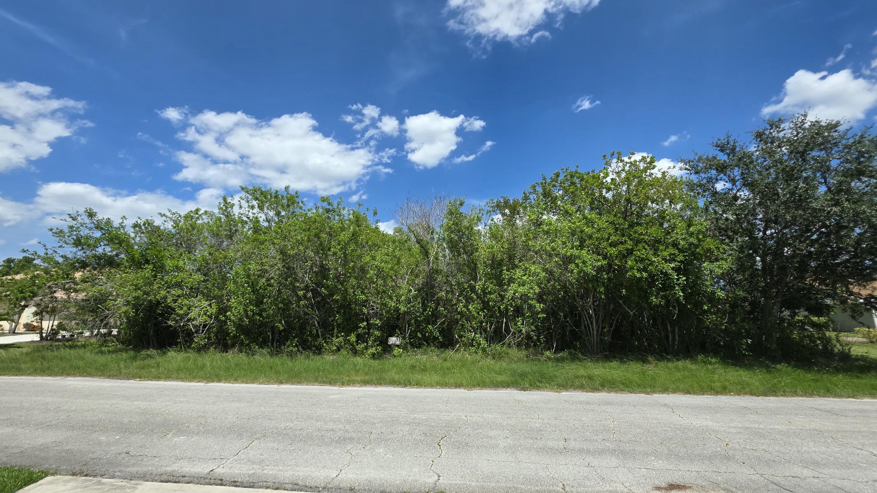 3909 SW Leesburg Street, Port St. Lucie, FL 34953, Port St Lucie