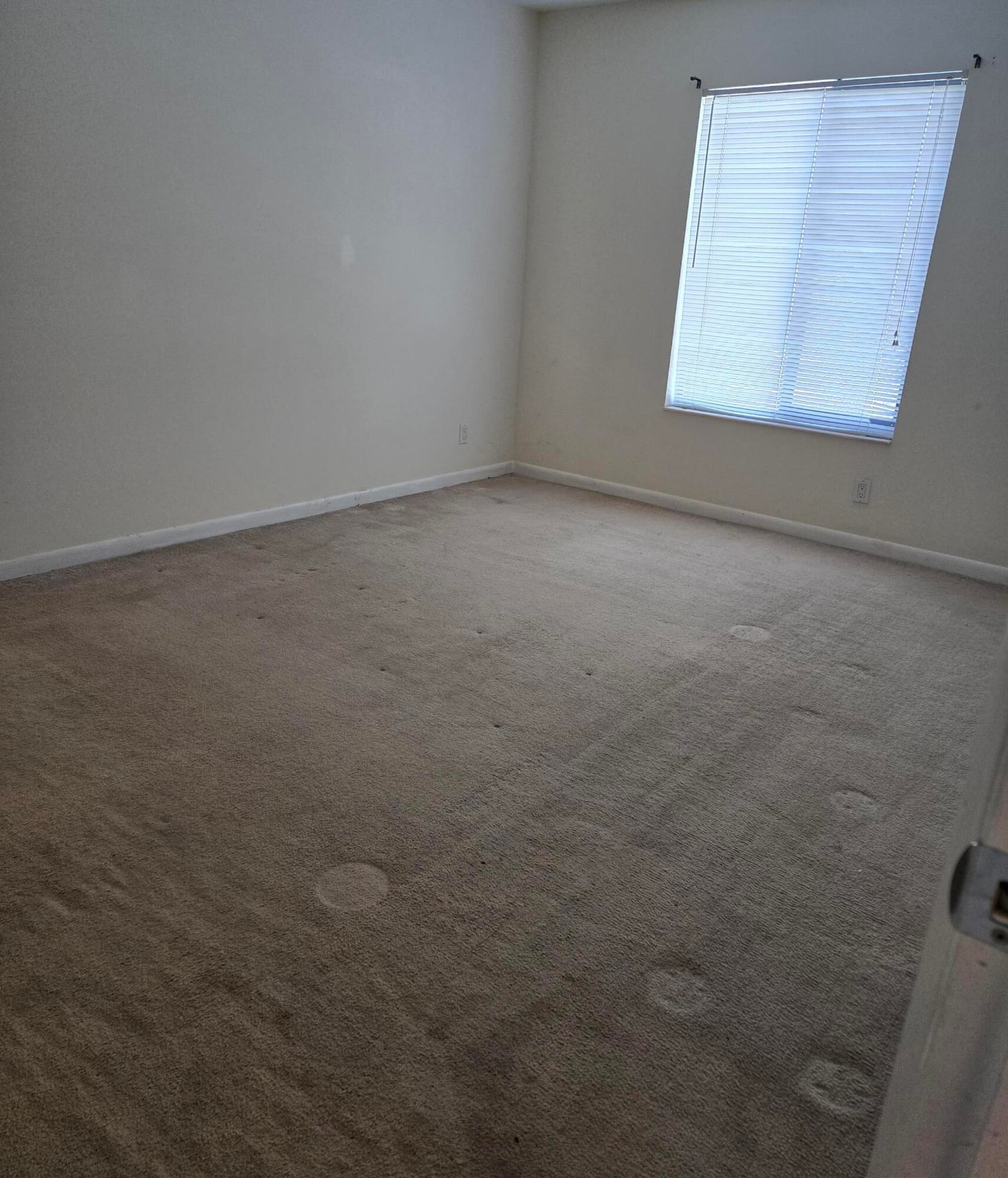 1009 Green Pine Boulevard D3 — photo 12