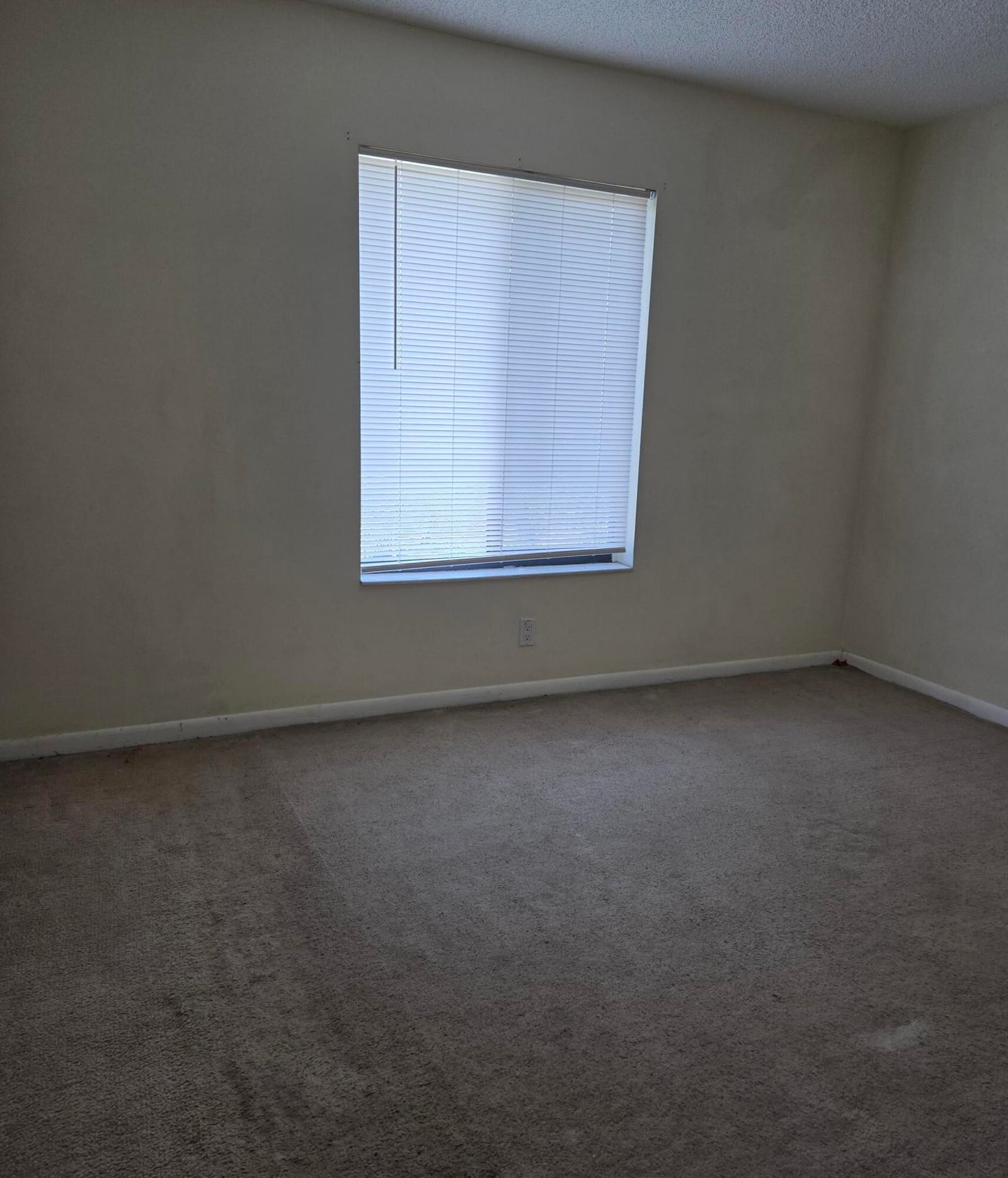 1009 Green Pine Boulevard D3, West Palm Beach, FL 33409 photo 15