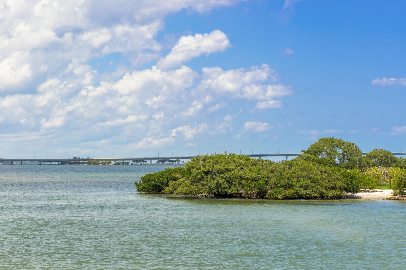6 Timor Street, Sewalls Point, FL 34996 photo 18
