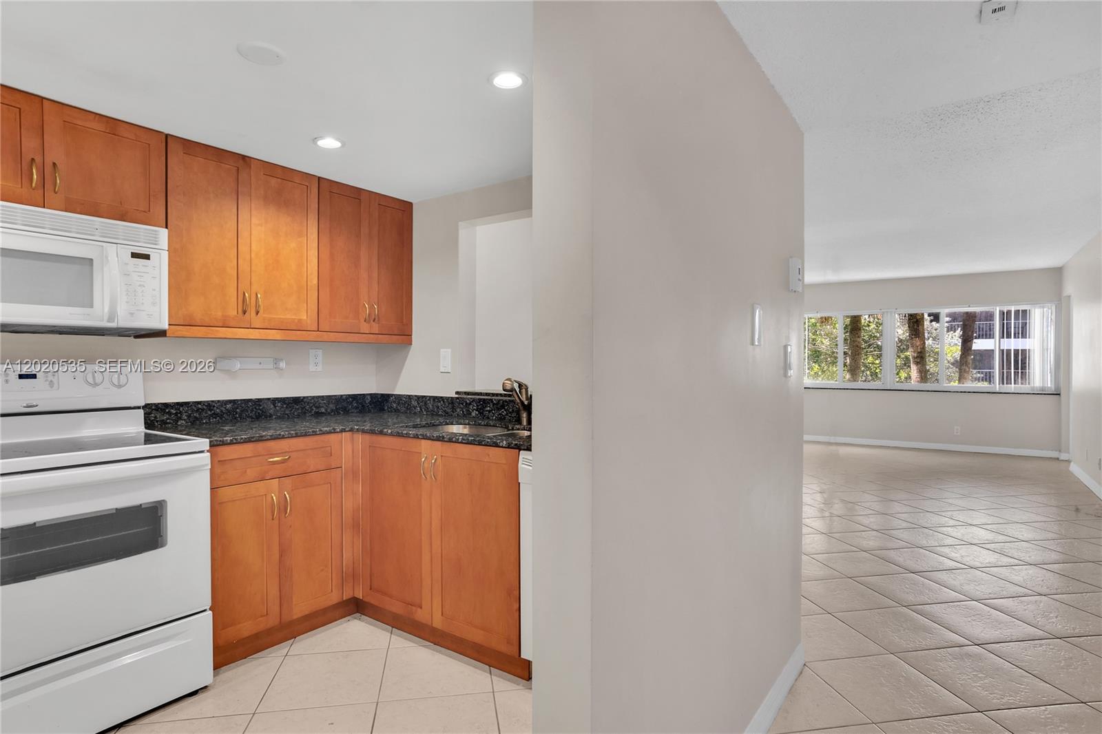 100 Lakeview Drive 201, Weston, FL 33326, Weston