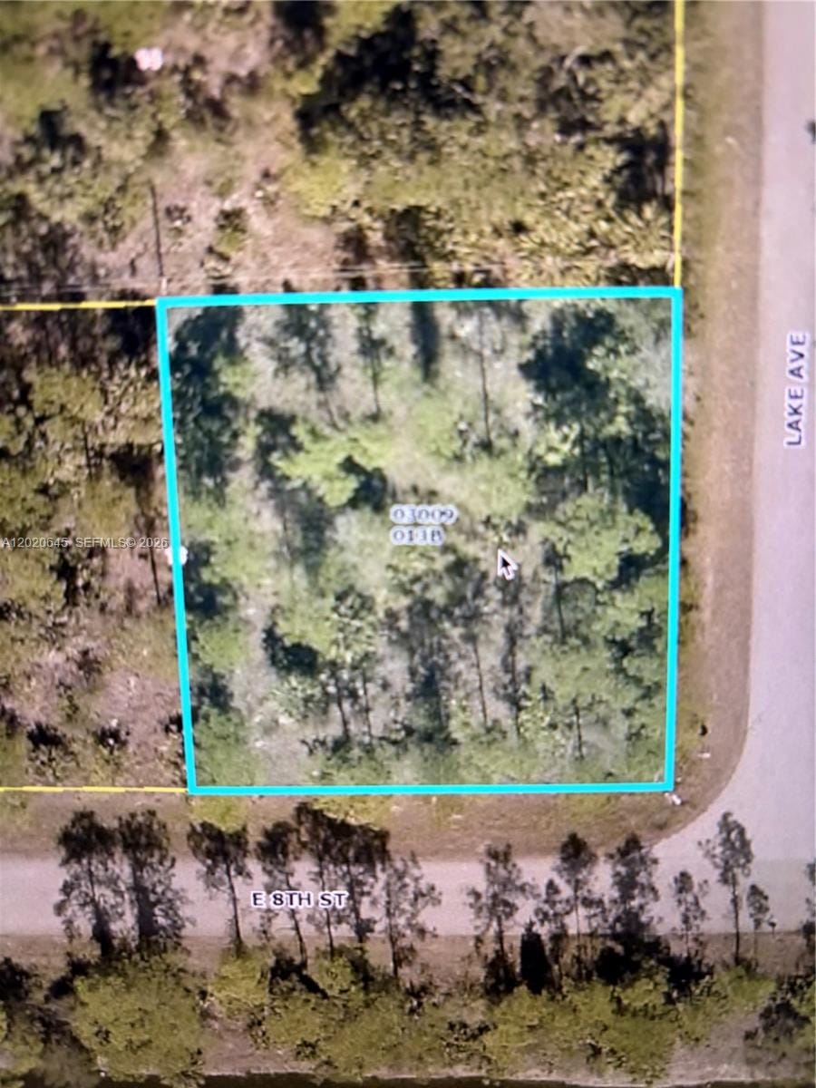 807 8th Street E, Lehigh Acres, FL 33972