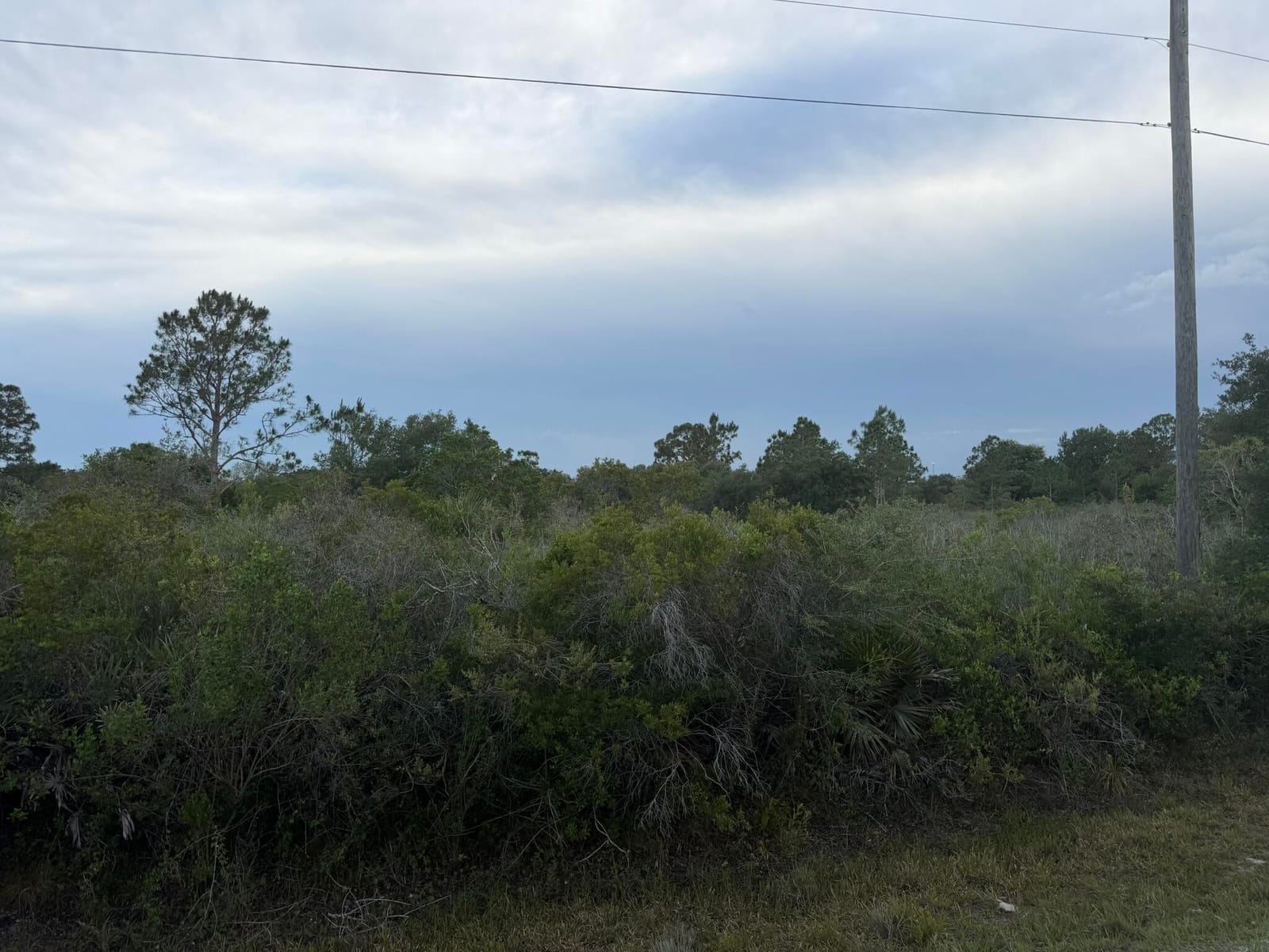 15840 NW 298th Street, Okeechobee, FL 34972 photo 2