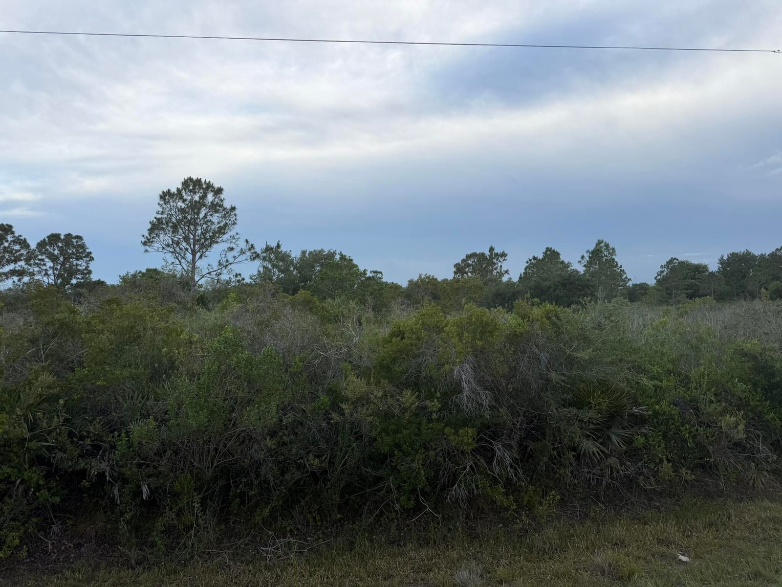 15840 NW 298th Street, Okeechobee, FL 34972 photo 3