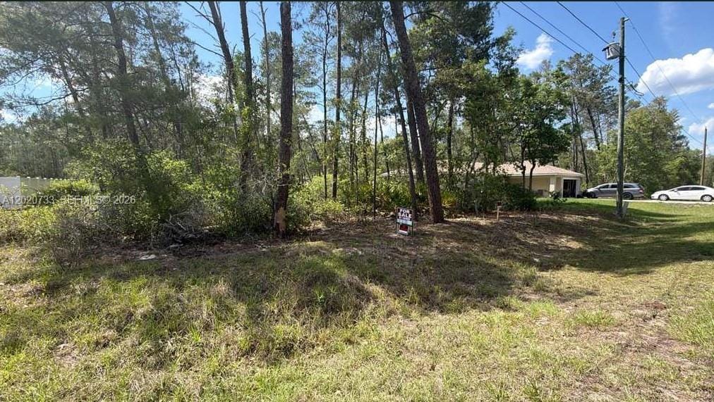 70 Malauka Pass Course, FL 32179 photo 12