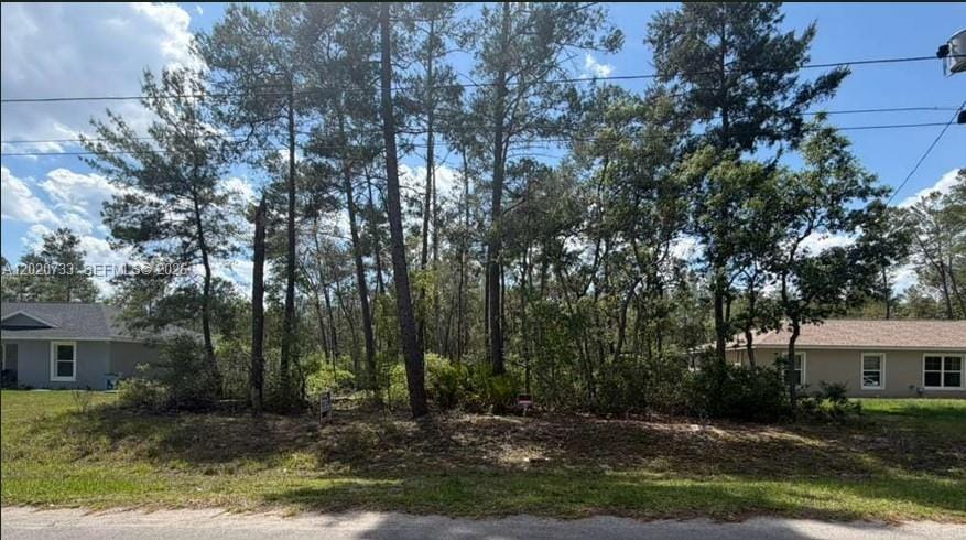 70 Malauka Pass Course, FL 32179 photo 6