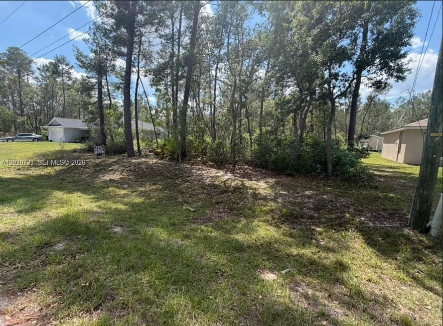 70 Malauka Pass Course, FL 32179 photo 7