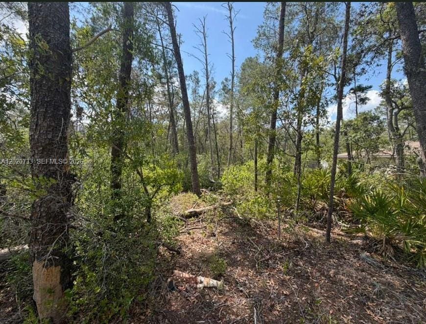70 Malauka Pass Course, FL 32179 photo 10
