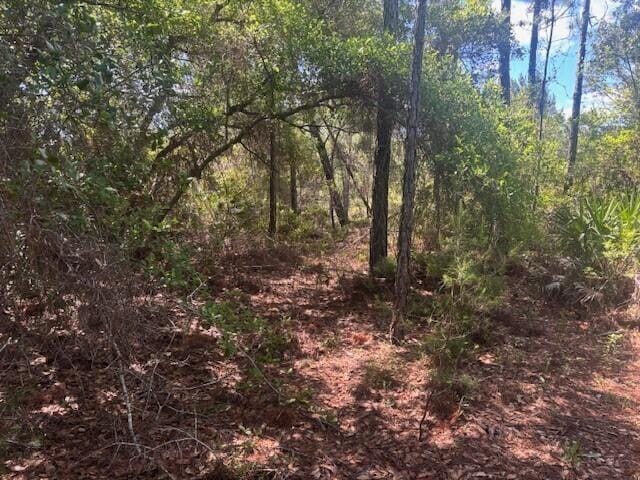 0 Golden Shores Blvd — photo 5