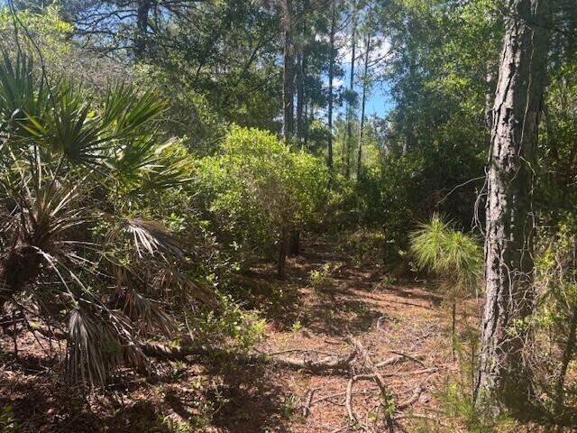 0 Golden Shores Blvd, Mims, FL 32754, Mims