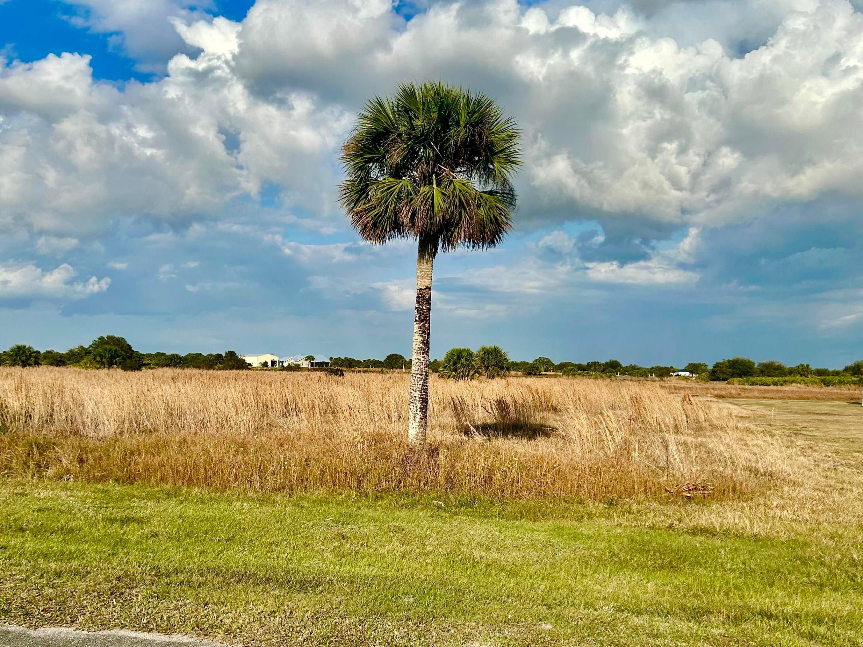 6635 SE 26th Trail, Okeechobee, FL 34974, Okeechobee