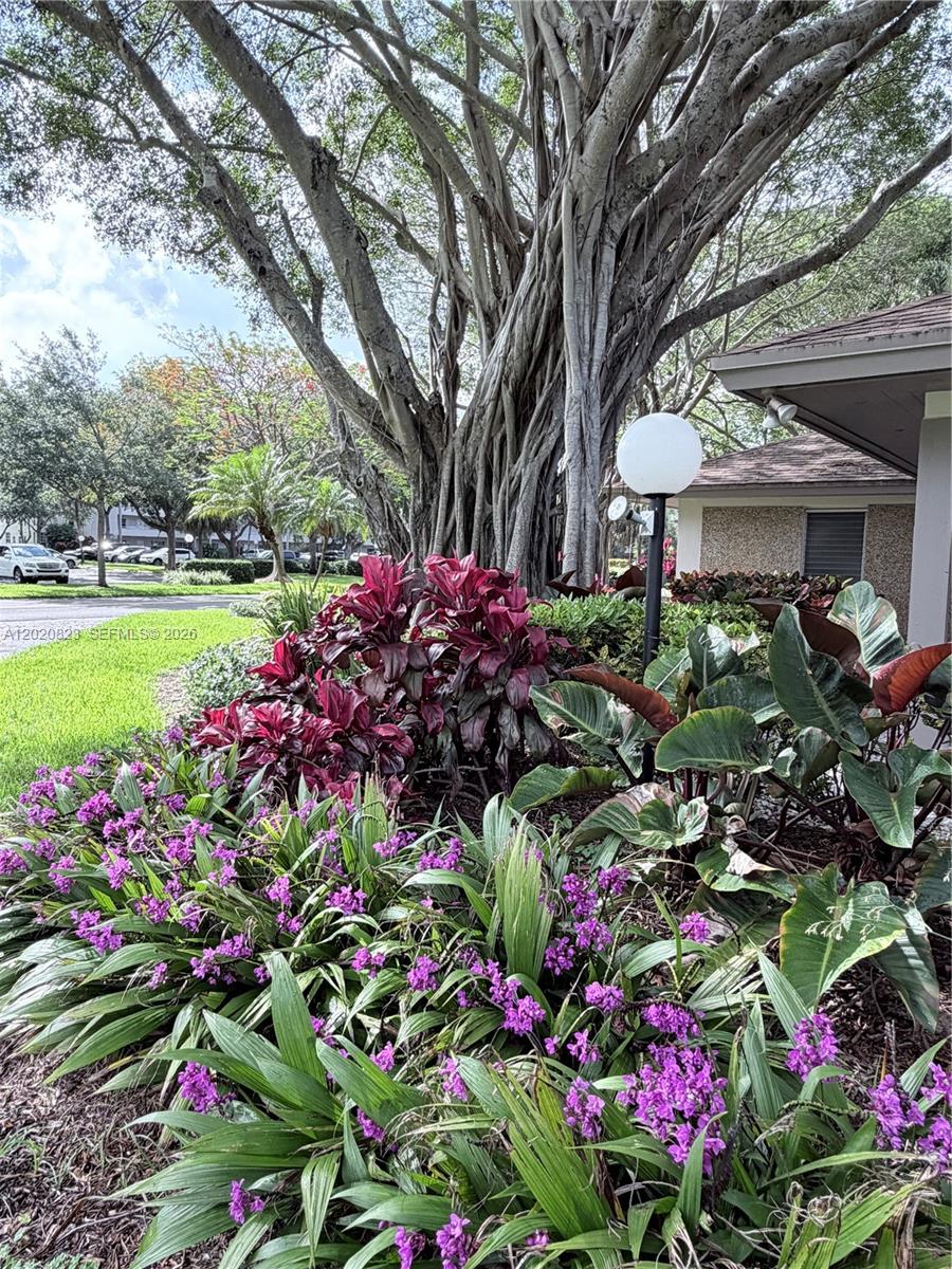 605 Oaks Drive 307, Pompano Beach, FL 33069 photo 30